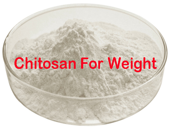 Does Chitosan Help Lose Weight?